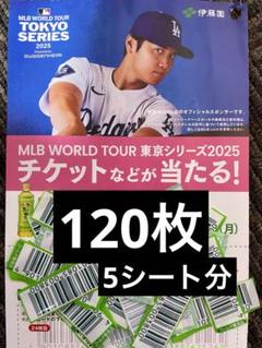 ◇懸賞情報◇伊藤園・お〜いお茶 | 365日懸賞生活