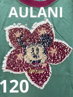 アウラニ　AULANI　ハワイ　ディズニー　ミニーちゃん　Tシャツ　１２０