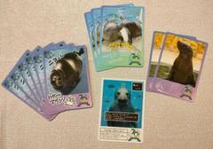 鳥羽水族館　コレクションカード　マロン　ひじき　もみじ　木町　ニコ