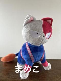 2025年最新】ショートキャット ヒロアカの人気アイテム - メルカリ