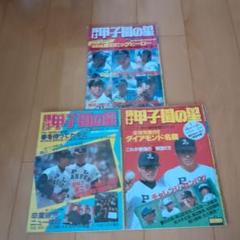 輝け甲子園の星　1985年春夏高校野球号のサムネイル