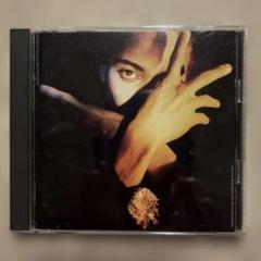 2025年最新】terence trent d'arbyの人気アイテム - メルカリ