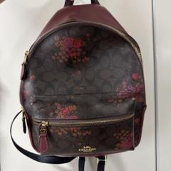 美品COACH/コーチリュック ハワイアンパーム ボタニカル柄 バックパック 美品COACH/コーチリュック ハワイアンパーム ボタニカル柄