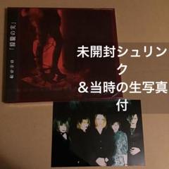 kein FLASHBACK THE NEWSMAN 新品未開封CD 2025年最新】kein 朦朧の実の人気アイテム - メルカリ