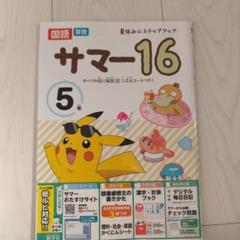 サマー16 5年 国語・算数