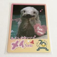 2025年最新】鳥羽水族館 70周年の人気アイテム - メルカリ