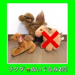 ラクダ ぬいぐるみ 2点 セット カバン 鞄 バッグ ty ビーニーベイビーズ ラクダ ぬいぐるみ 2点 セット カバン 鞄 バッグ ty ビーニー