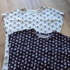 楽天市場】【PAUL&JOE PARIS room wear】ポールアンドジョー