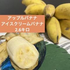 アップルバナナ アイスクリームバナナ2.6キロ - メルカリ