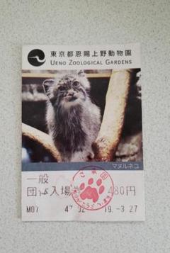 【使用済み】上野動物園 チケット マヌルネコ