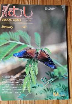 新品未使用 日本の迷蝶大図鑑 むし社 月刊むし 昆虫大図鑑