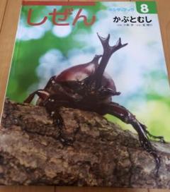 たくさんのふしぎ　キンダーブックしぜん　カブトムシの幼虫と成虫　カブトムシの音 たくさんのふしぎ キンダーブックしぜん カブトムシの幼虫と成虫