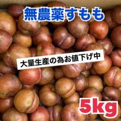鹿児島県産　いぐりすもも　約5キロ　b Amazon.co.jp: 鹿児島県産 プラム いぐり すもも 5kg 加工用