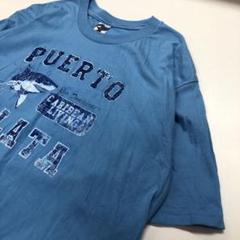 アニマルTシャツ サメ 半袖 ライトブルー メンズ2XL