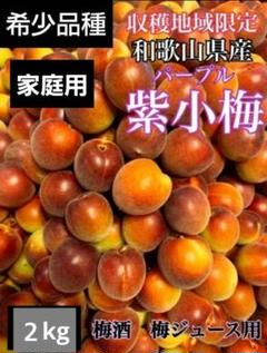 和歌山県産　【希少品種】紫小梅♥️家庭用　10kg　みかんキング 和歌山県産 【希少品種】紫小梅♥️家庭用 2kg みかんキング