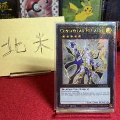 遊戯王 - セイクリッド・プレアデス　DTC　シークレットレア　遊戯王 2025年最新】セイクリッドプレアデス シークレットの人気