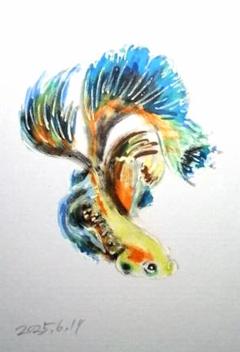 武川秀男「夏近し」切り絵 額装 日本切り絵協会会員 切絵 J