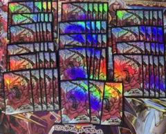 遊戯王5D's ブラックローズドラゴン旧スリーブ