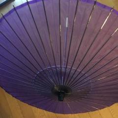 日本舞踊　絹傘　踊り傘　紫系　新品 絹傘・日本舞踊傘・踊り傘 継柄 ぼかし 紫 B : おどり用品の扇寿