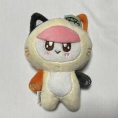 SEVENTEEN - ボンボンイ　マスコット　ねこ Amazon.co.jp: SEVENTEEN ボンボンイ ねこ マスコット