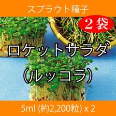スプラウト種子 S-04 ロケットサラダ(ルッコラ) 5ml x 2袋