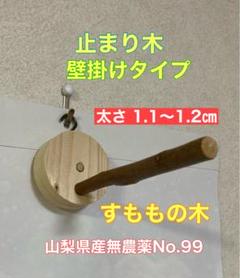 2025年最新】壁掛け止まり木の人気アイテム - メルカリ