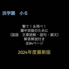 浜学園❣️灘中対策★小6日曜特別特訓、入試直前特訓、夏期講習、３冠本、最レ理科他❗️ 2025年最新】3冠達成 浜学園の人気アイテム - メルカリ