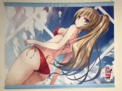 とらのあな限定】ようこそ実力至上主義の教室へ 4.5巻 特典B2