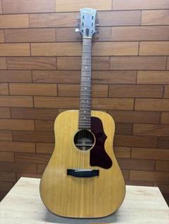 楽天市場】gibson j－50（アコースティックギター｜ギター