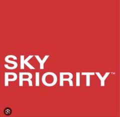 SKYPRIORITY ELITE PLUS スカイチームエリートプラス 2025年最新】スカイチームエリートプラスの人気アイテム - メルカリ