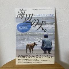田舎暮らしの本 8月号 ファンブック浜辺の犬。トシさんとララ子