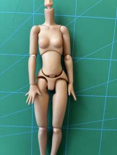 Amazon | アゾンインターナショナル(AZONE INTERNATIONAL