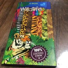 色鉛筆 12色 O'BON Wildlife アニマル柄 色えんぴつ