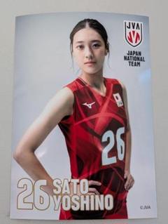 バレーボール　日本代表　佐藤淑乃　直筆サイン入り　フェイスタオル　NEC 佐藤淑乃 ブロマイド バレーボール女子日本代表 NECレッド