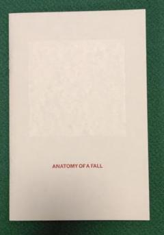 落下の解剖学 | 映画チラシ・フライヤー・パンフレット販売 大辞典