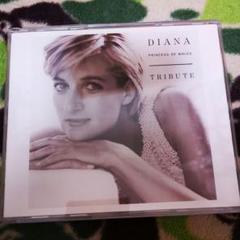 ダイアナ・トリビュート〜ダイアナ元英皇太子妃追悼アルバム DIANA 2枚組のサムネイル