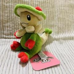ポケモン fit キノガッサ ぬいぐるみ　旧タグ　希少 2025年最新】キノガッサ ぬいぐるみの人気アイテム - メルカリ