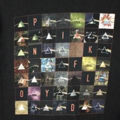 期間限定セール Tシャツ ピンクフロイド 美品 激レア 黒 floyd Spink 狂気 ミュージシャン