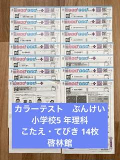 小学 5年 理科 カラーテスト こたえ・てびきシート 14枚 ぶん