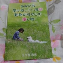 あなたも受け取っている動物たちからの贈り物