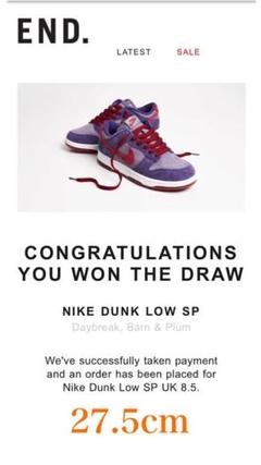 NIKE SB DUNK LOW SP - Plum (ダンク ロー プラム)