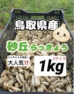 完全！肥料・農薬不使用 自然栽培らっきょう5kg 完全！肥料・農薬不使用 自然栽培らっきょう10kgの通販 by 肥料