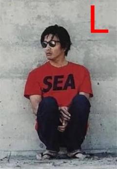 wind and sea 初期 キムタク着 L 美品 tシャツ - メルカリ