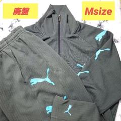 希少】PUMA プーマ ジャージ 上下 Y2K 廃盤 ストライプ プージャ