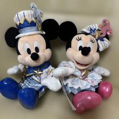 美品タグ付☆TDL 20周年 Make a Wish ミッキーミニー ぬいぐるみ Disney - ミッキー、ミニーぬいぐるみ2025年 限定販売