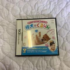 DS 仔犬でくるりん