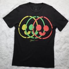 JAMES HAUNT USA製 Tシャツ ロサンゼルス アーティスト ブラック