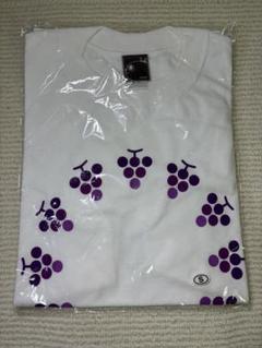 新品 DREAMS COME TRUE ドリカム Tシャツ DCTgardenのサムネイル