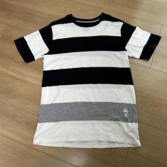 Stussy ストライプ Tシャツ Lサイズ