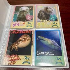 鳥羽水族館 ジュゴン セレナ コレカ カード キラ レア